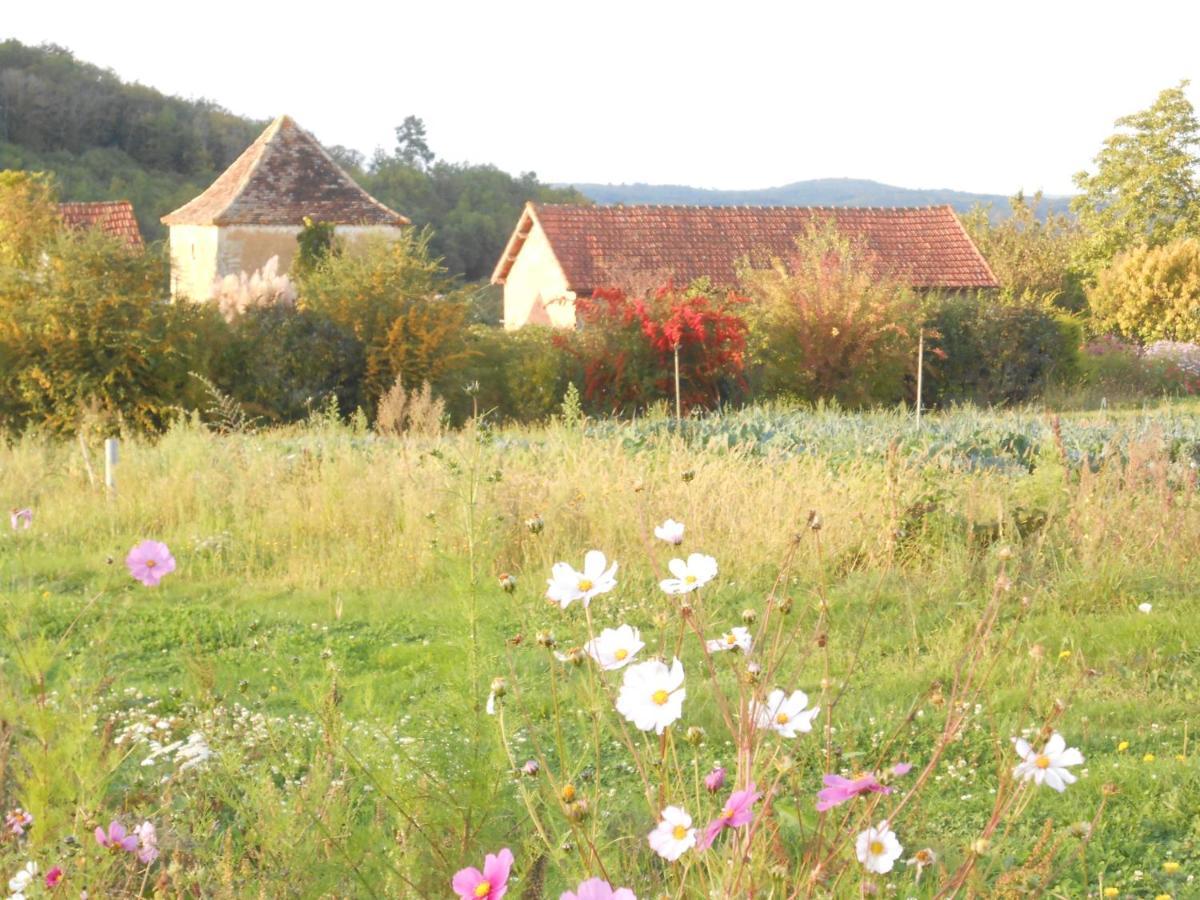 Chambres D'Hotes Le Roussel Le Buisson-de-Cadouin Kültér fotó
